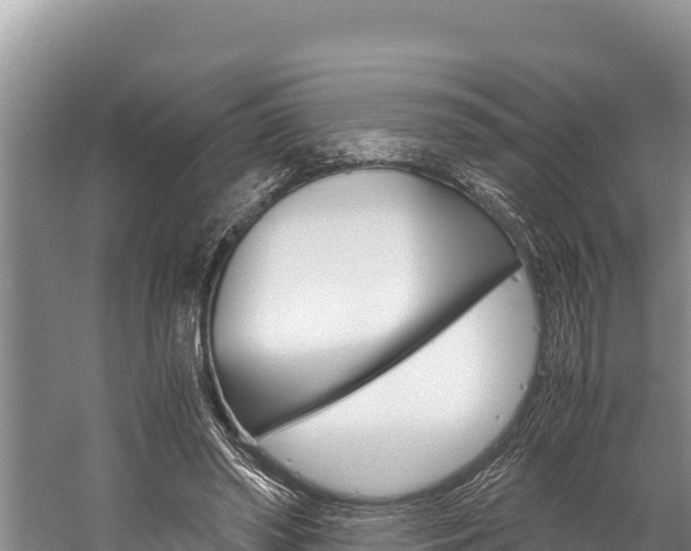 X0000059830398200510211027