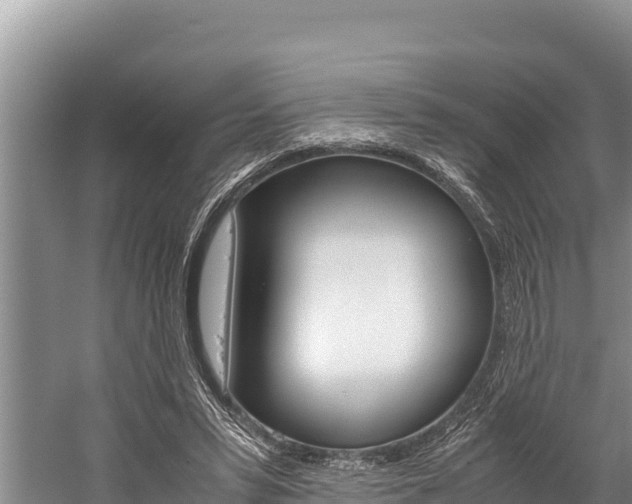 X0000059830399200510211027