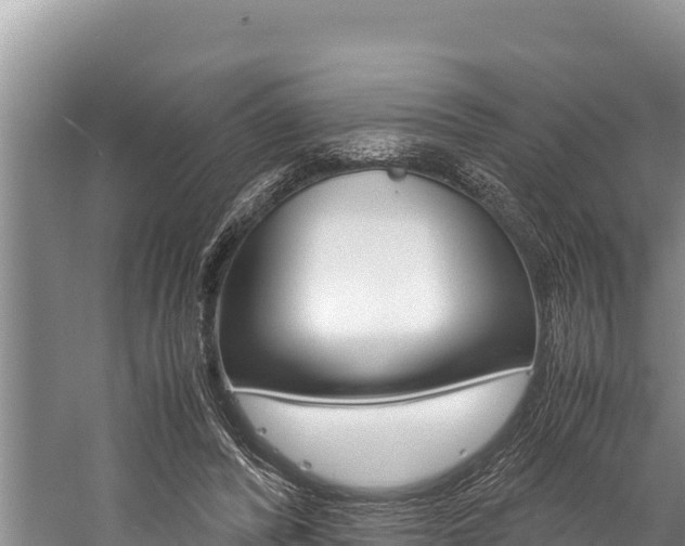 X0000059830400200510211027