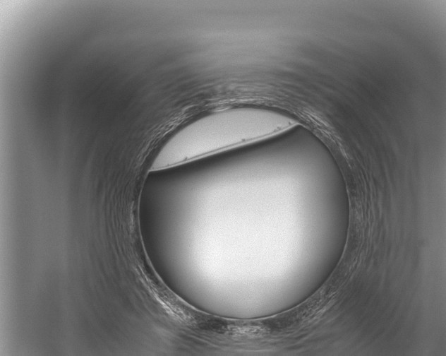 X0000059830401200510211027