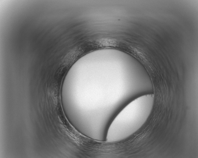 X0000059830402200510211027