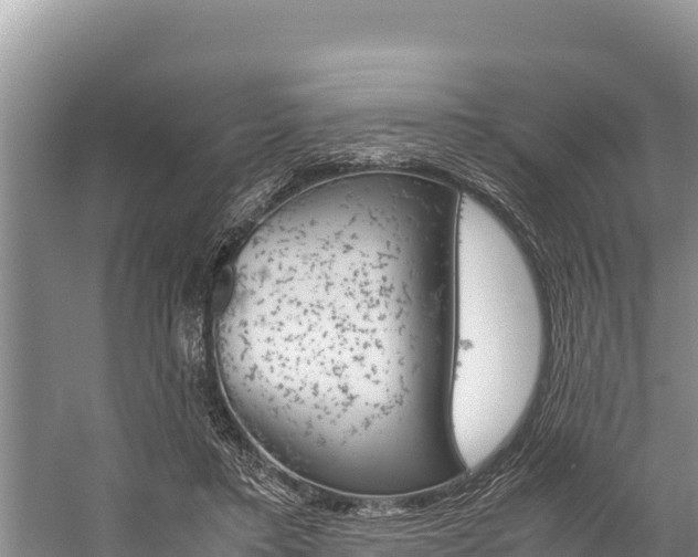 X0000059830403200510211027