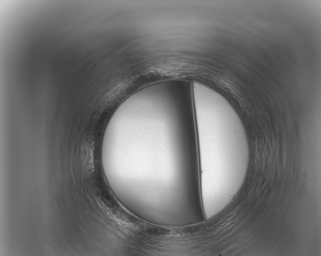 X0000059830404200510211027