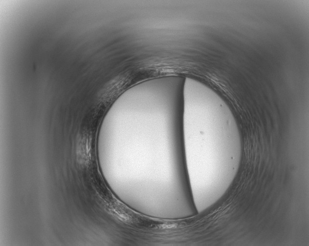 X0000059830406200510211027