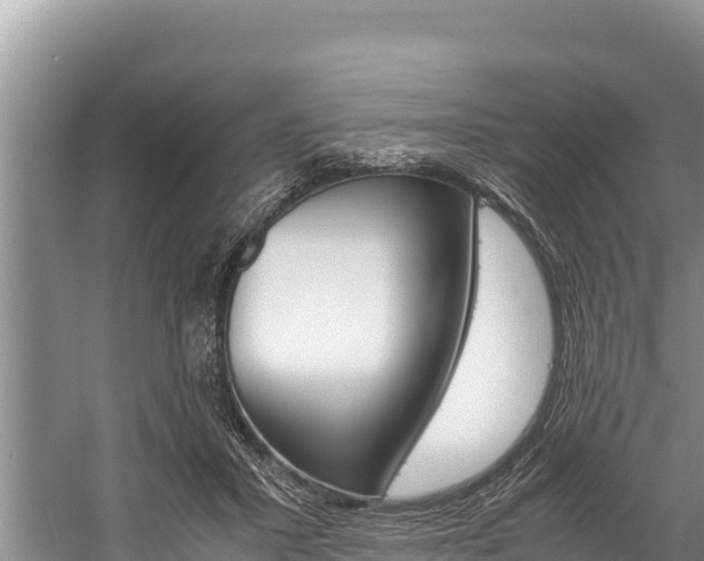 X0000059830407200510211027