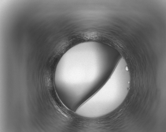 X0000059830408200510211027