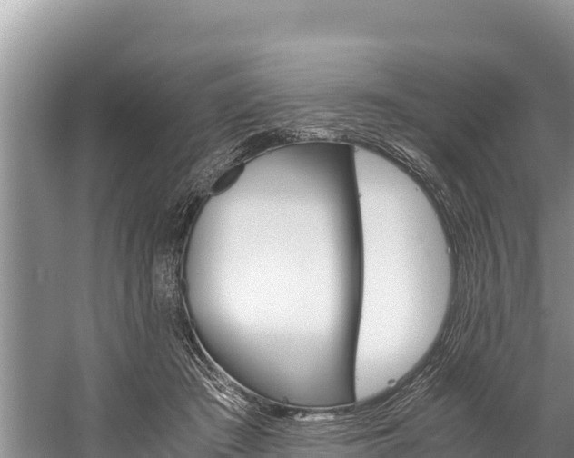 X0000059830409200510211027