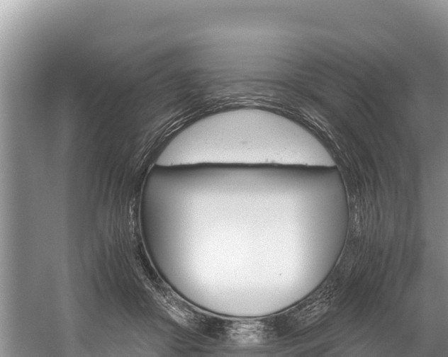 X0000059830410200510211027