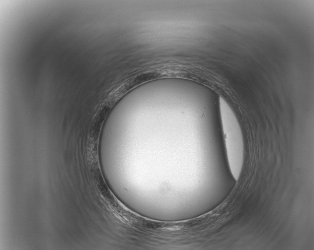 X0000059830411200510211027