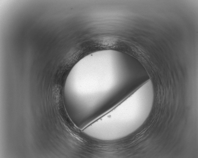 X0000059830412200510211027