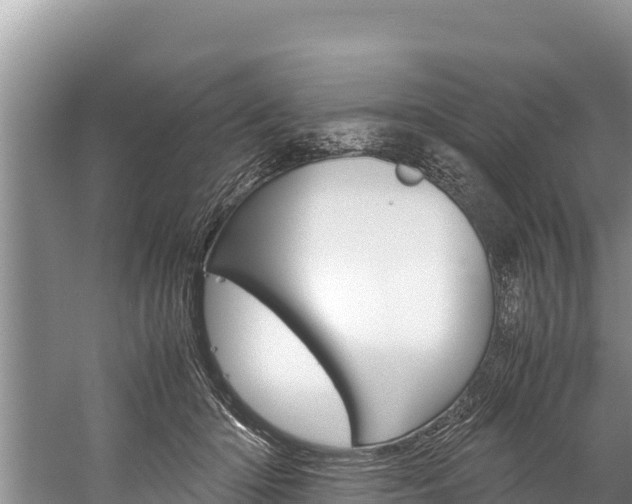 X0000059830414200510211027