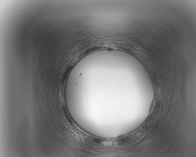 X0000059830415200510211027