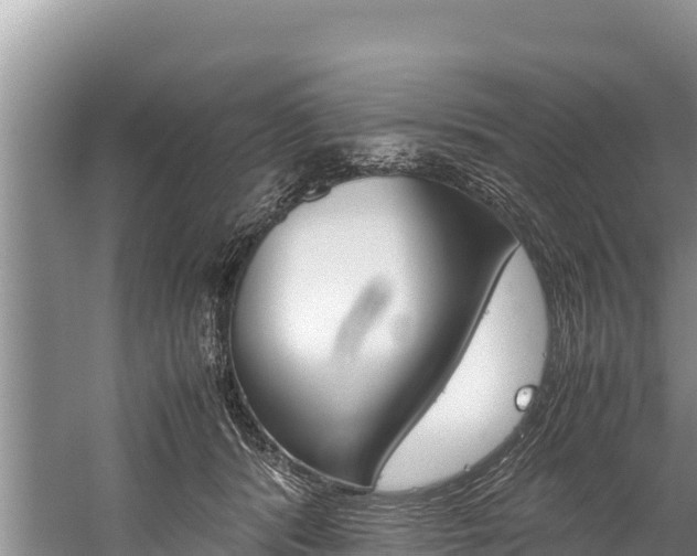 X0000059830416200510211027