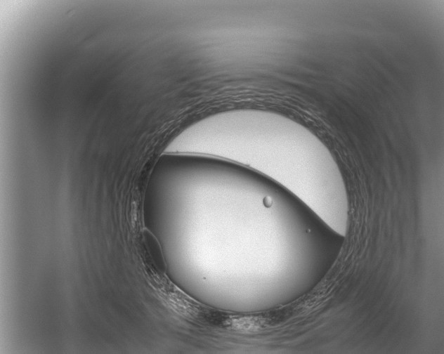 X0000059830417200510211027