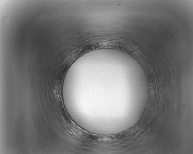 X0000059830419200510211027