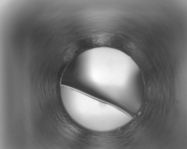 X0000059830420200510211027