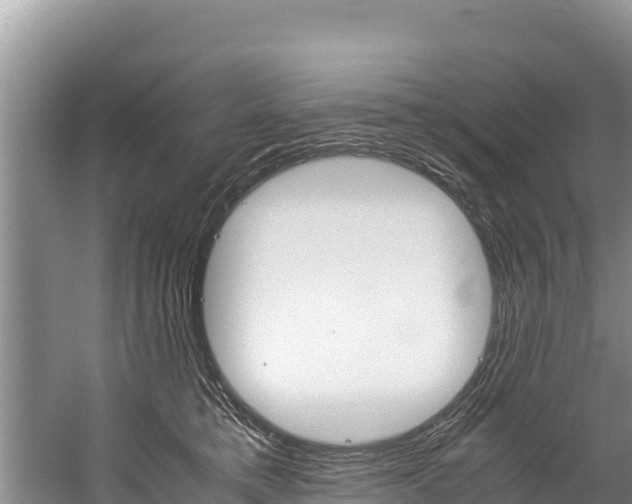 X0000059830421200510211027