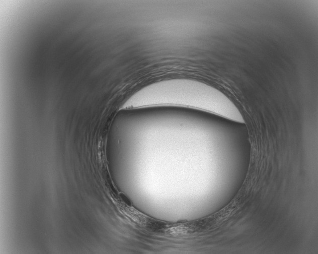 X0000059830423200510211027