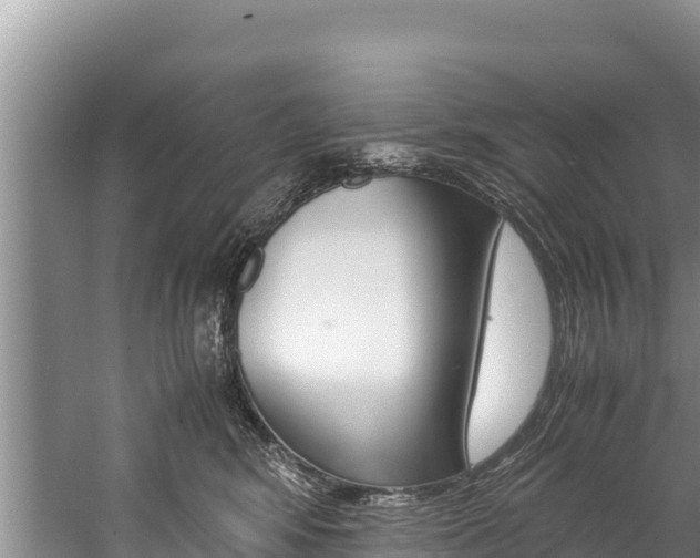 X0000059830424200510211027