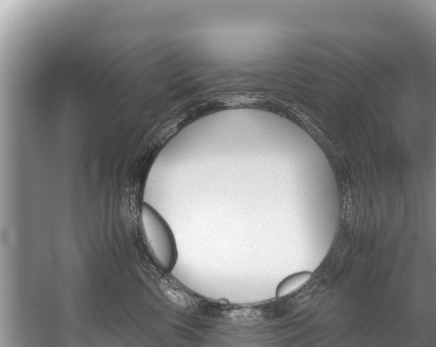 X0000059830426200510211027