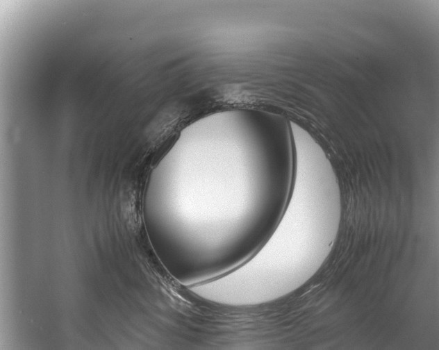 X0000059830428200510211027