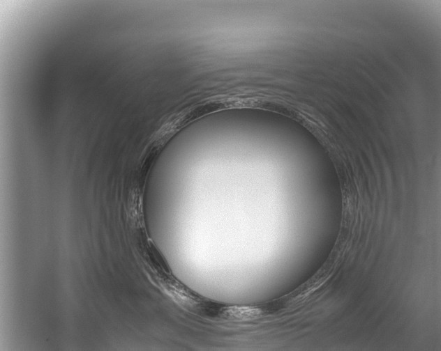 X0000059830429200510211027