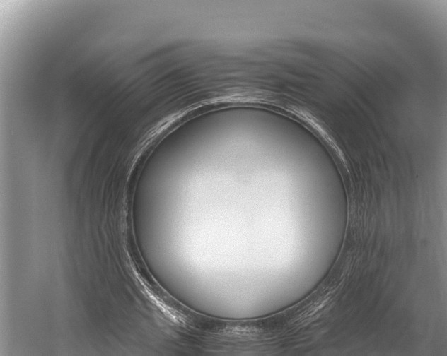 X0000059830437200510211026