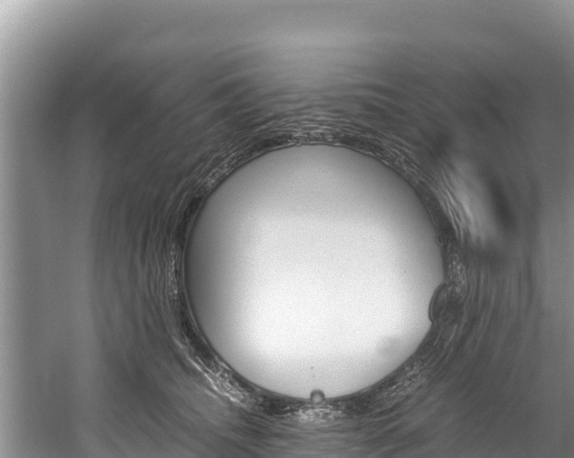 X0000059830468200510211026