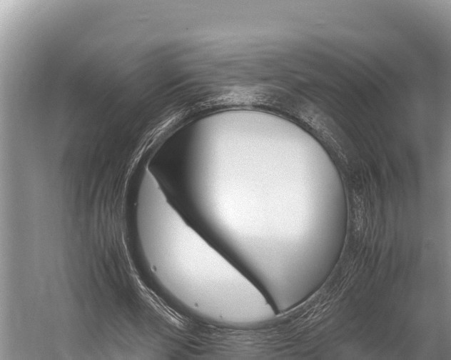 X0000059830486200510211026
