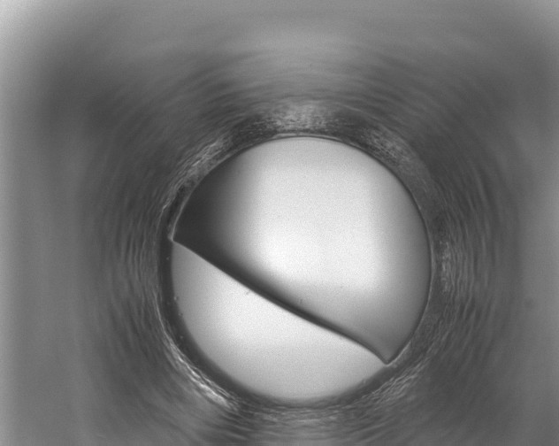 X0000059830490200510211025