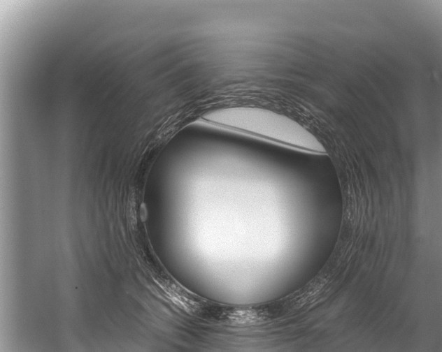X0000059830562200510211025