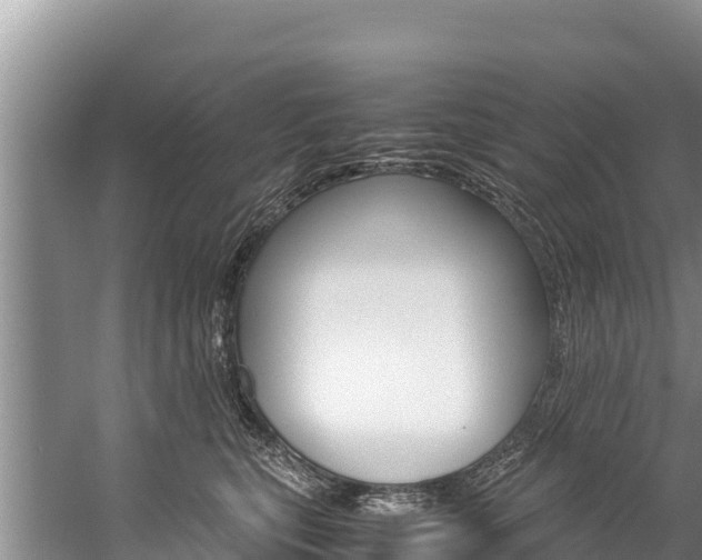 X0000059830567200510211025