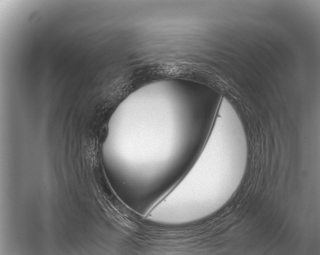 X0000059830605200510211024