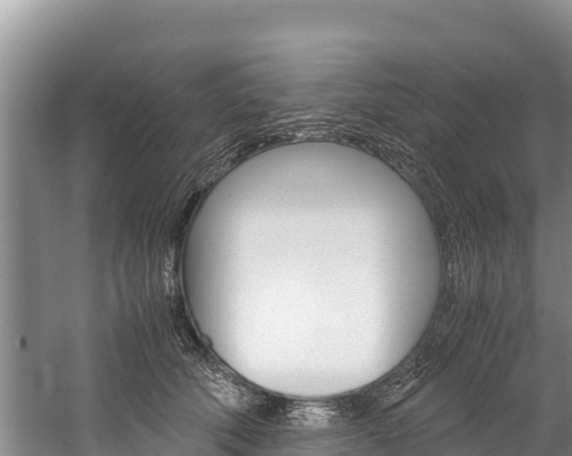 X0000059830610200510211023