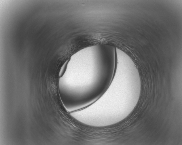 X0000059830613200510211023