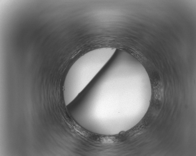 X0000059830618200510211023