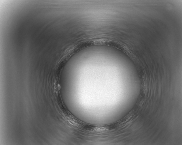 X0000059830619200510211023