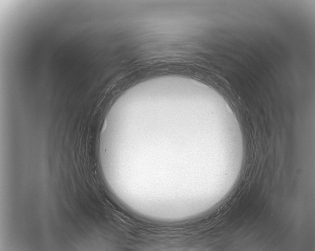 X0000059830701200510211022