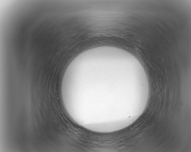 X0000059830705200510211022