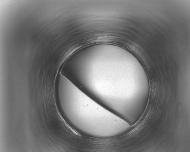 X0000059830794200510211020