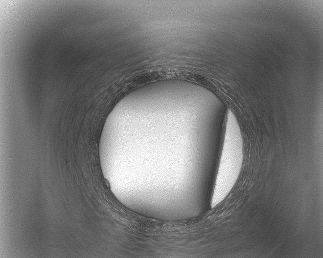 X0000059830865200510211019