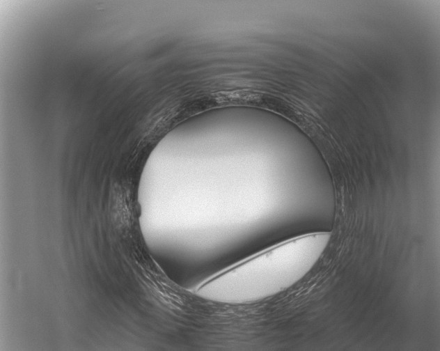 X0000059830915200510211018