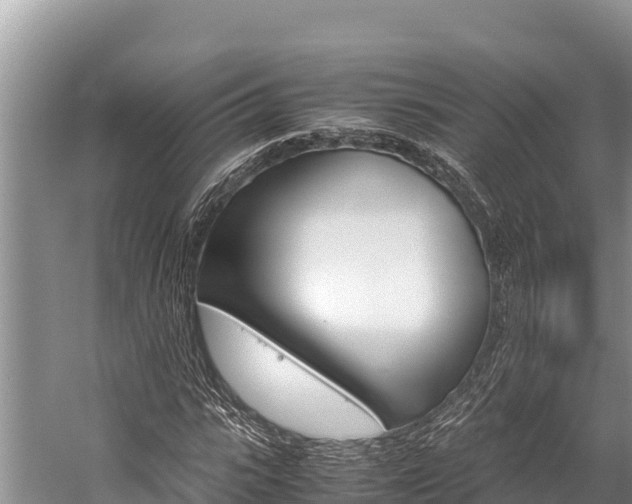 X0000059830919200510211018