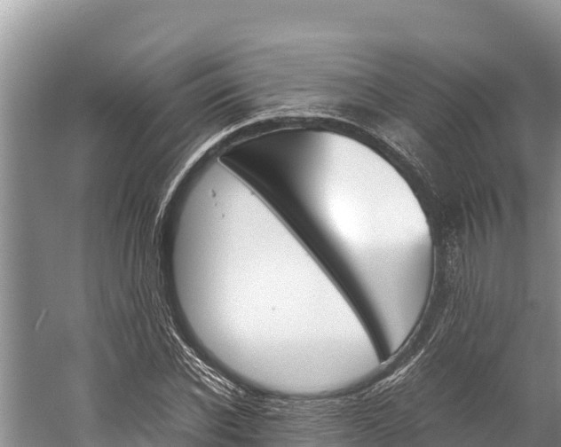 X0000059830926200510211018