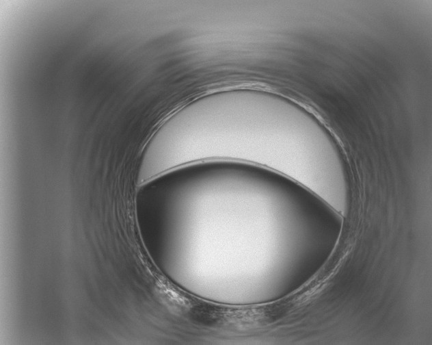 X0000059831001200510211017