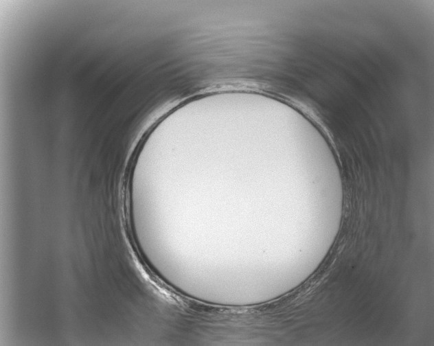 X0000059831003200510211017