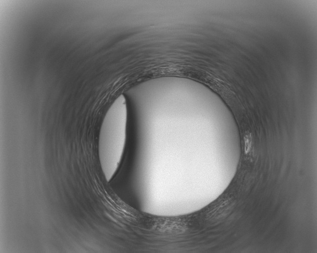 X0000059831011200510211016