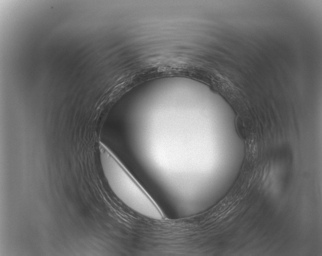 X0000059831012200510211016