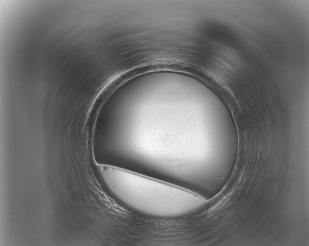 X0000059831021200510211016