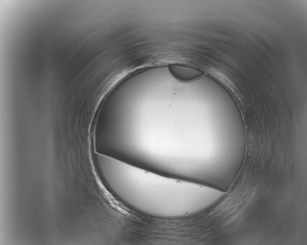 X0000059831047200510211017
